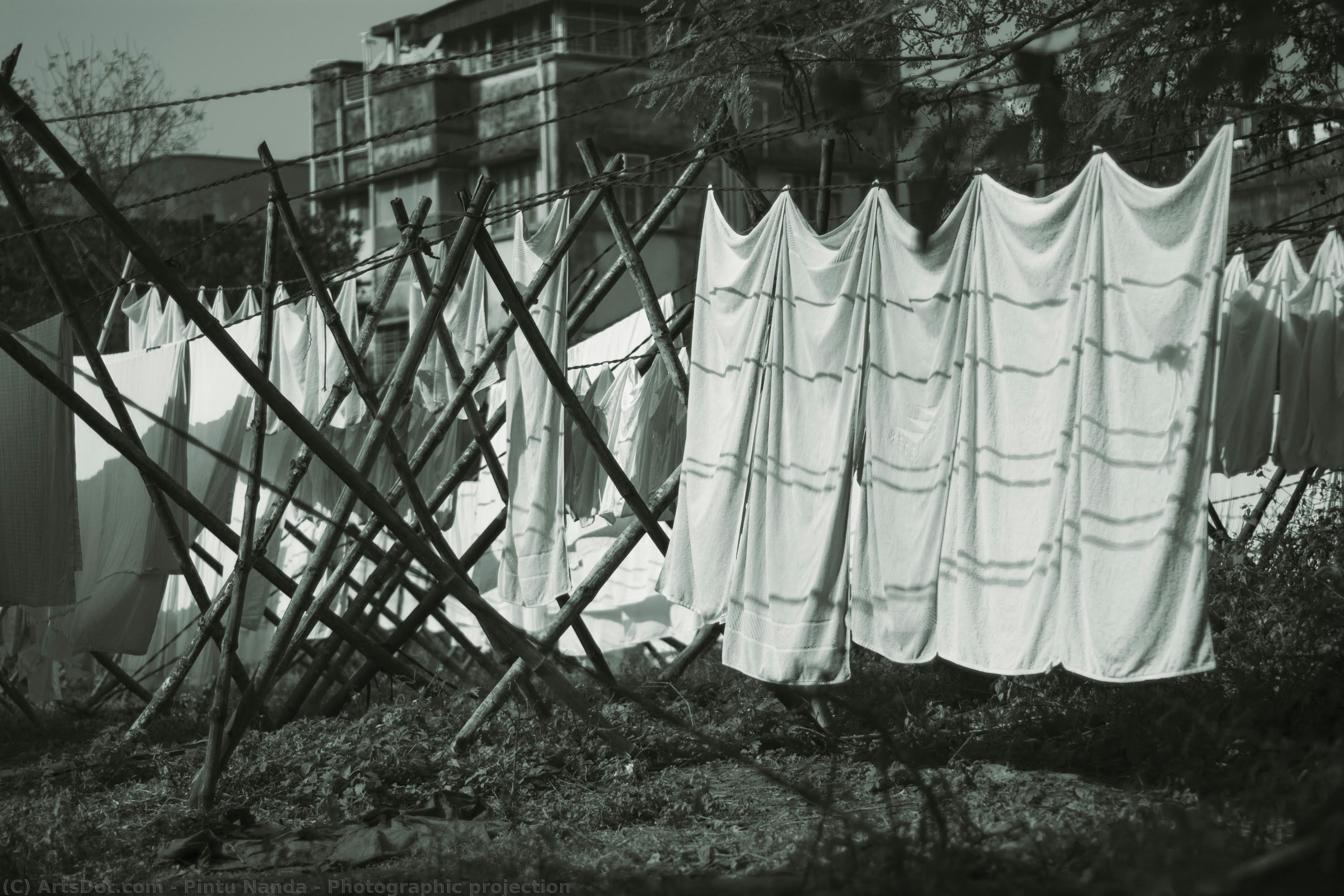 Photographic Projection — Pintu Nanda