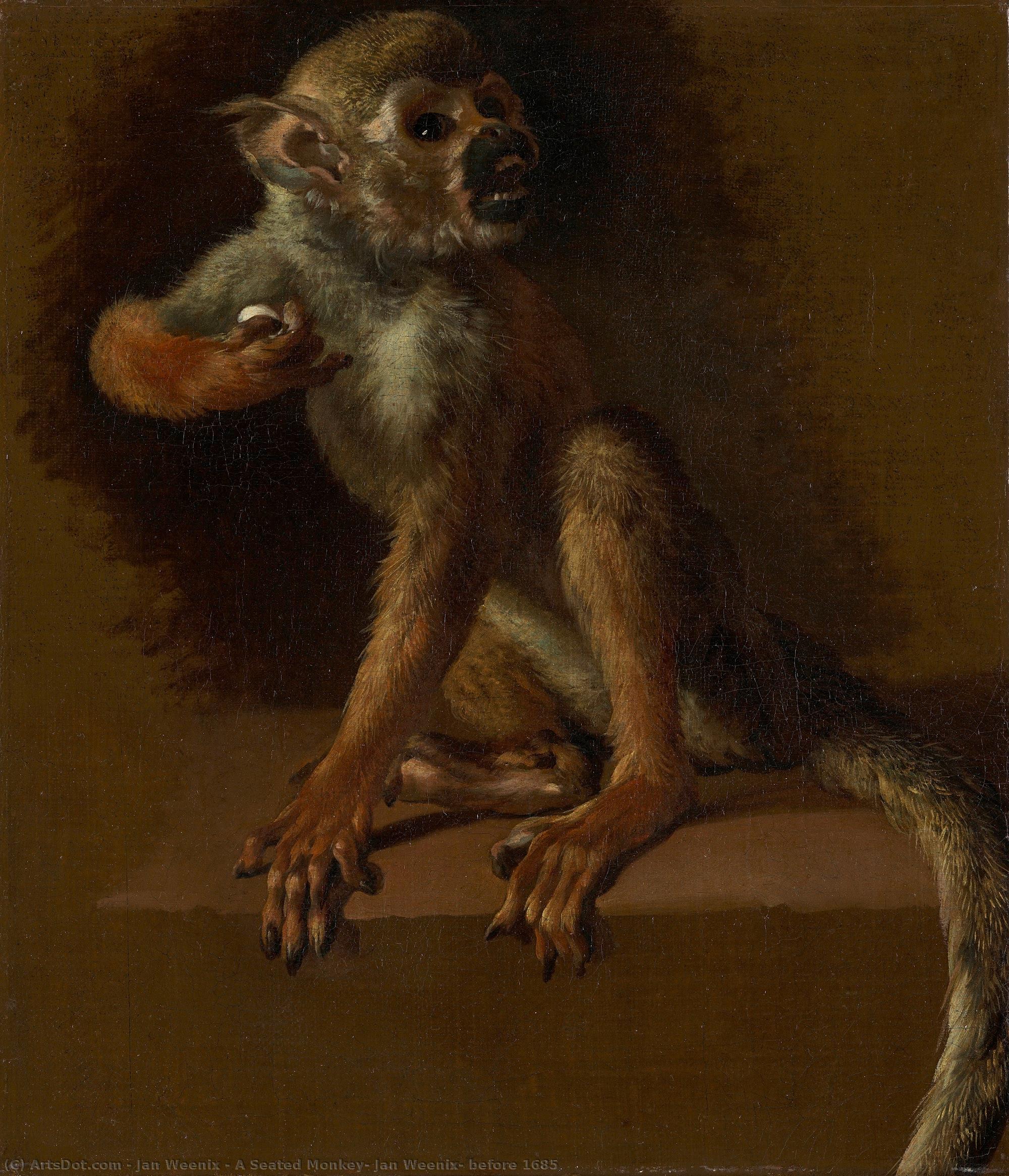 A Seated Monkey, Jan Weenix, Before 1685 — Ян Веник