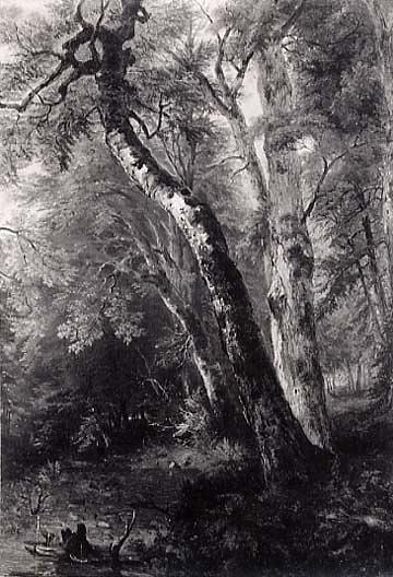 Study Of Trees, (painting) — Asher Brown Durand