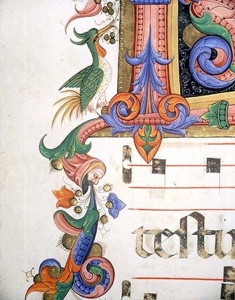 Zoomorphic Foliage With Bird And Male Head — Matteo Di Filippo Torelli