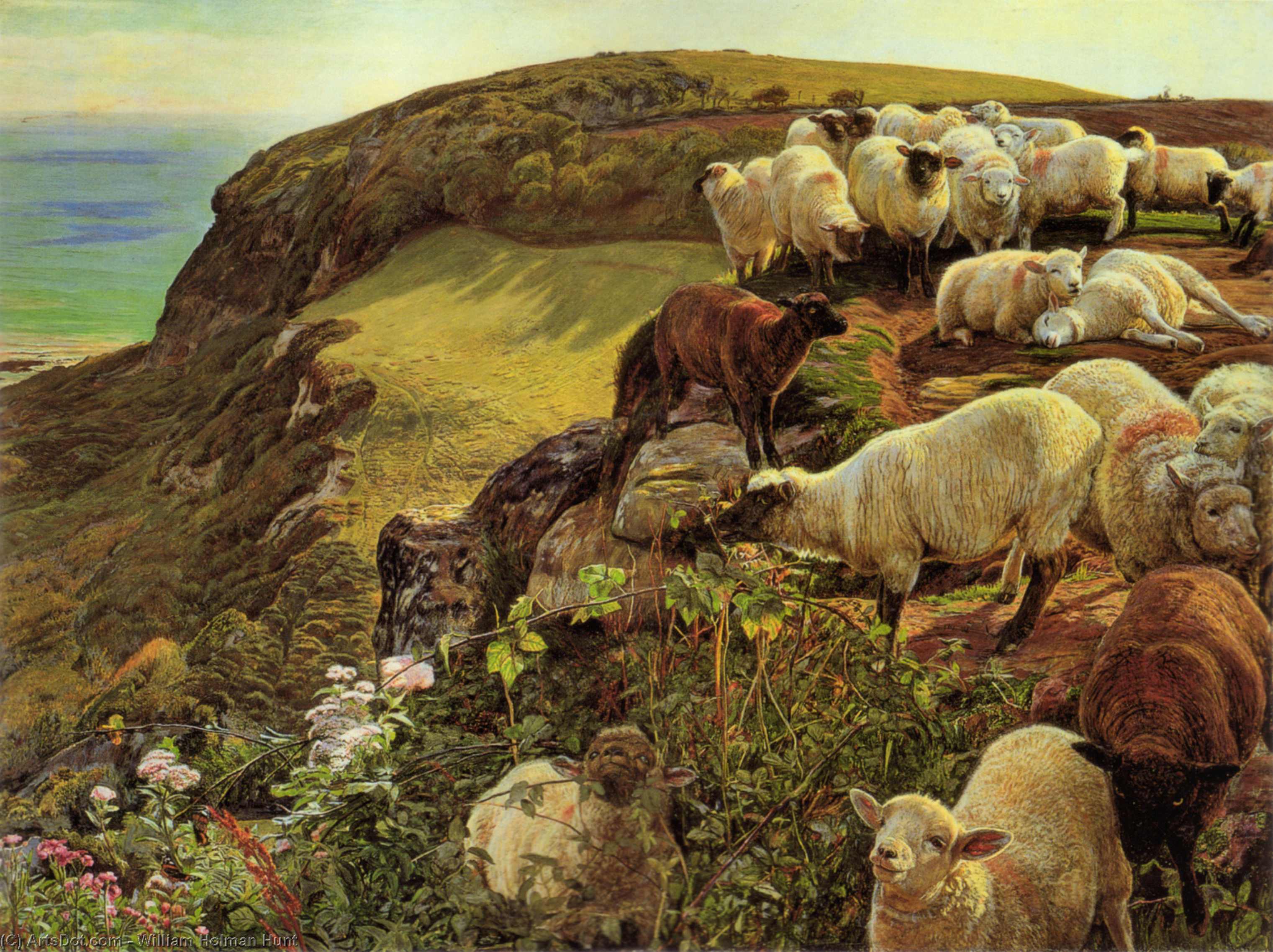 Our English Coasts — William Holman Hunt