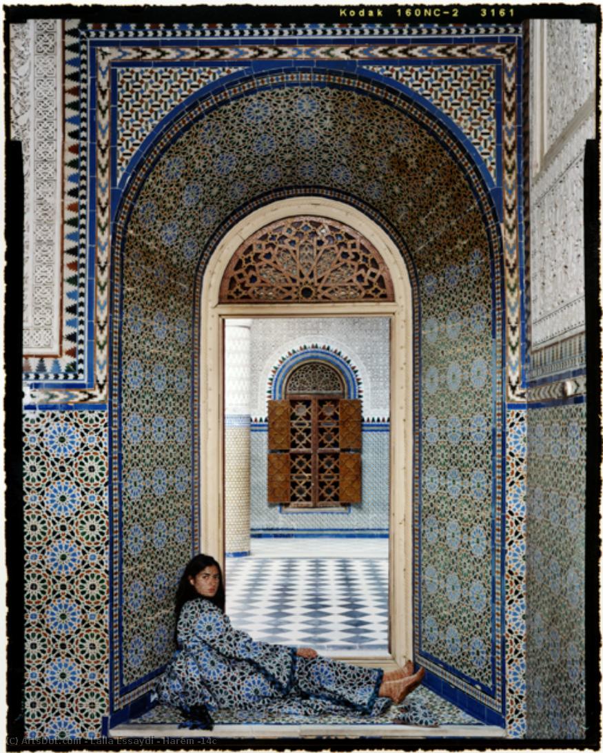 Harem #14c — Lalla Essaydi