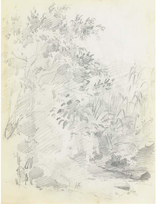 A Path Through A Wooded Mountainous Landscape With Palm Fronds To The Right — Camille Pissarro