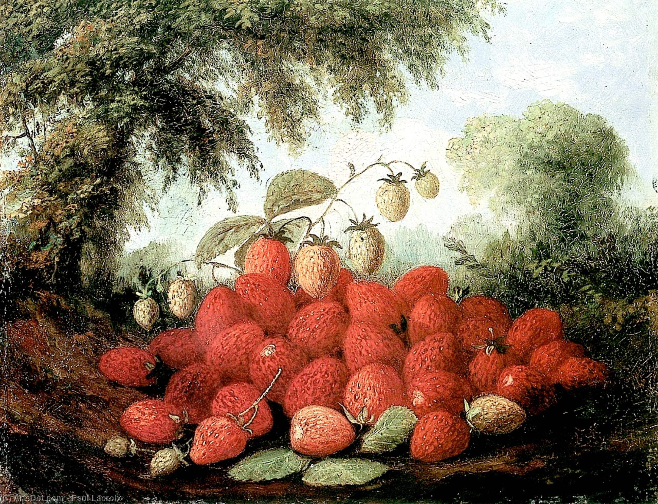 Strawberries Spilling From A Basket And Growing On A Bush — Paul Lacroix