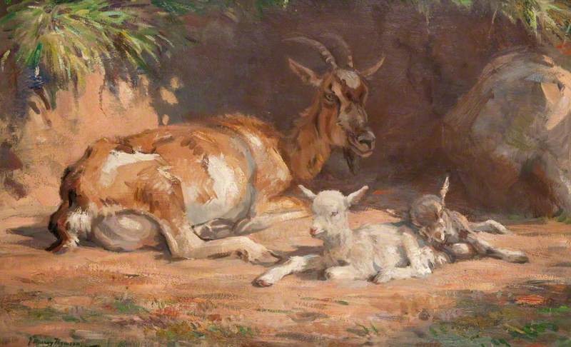 Goat And Kids — John Murray Thomson