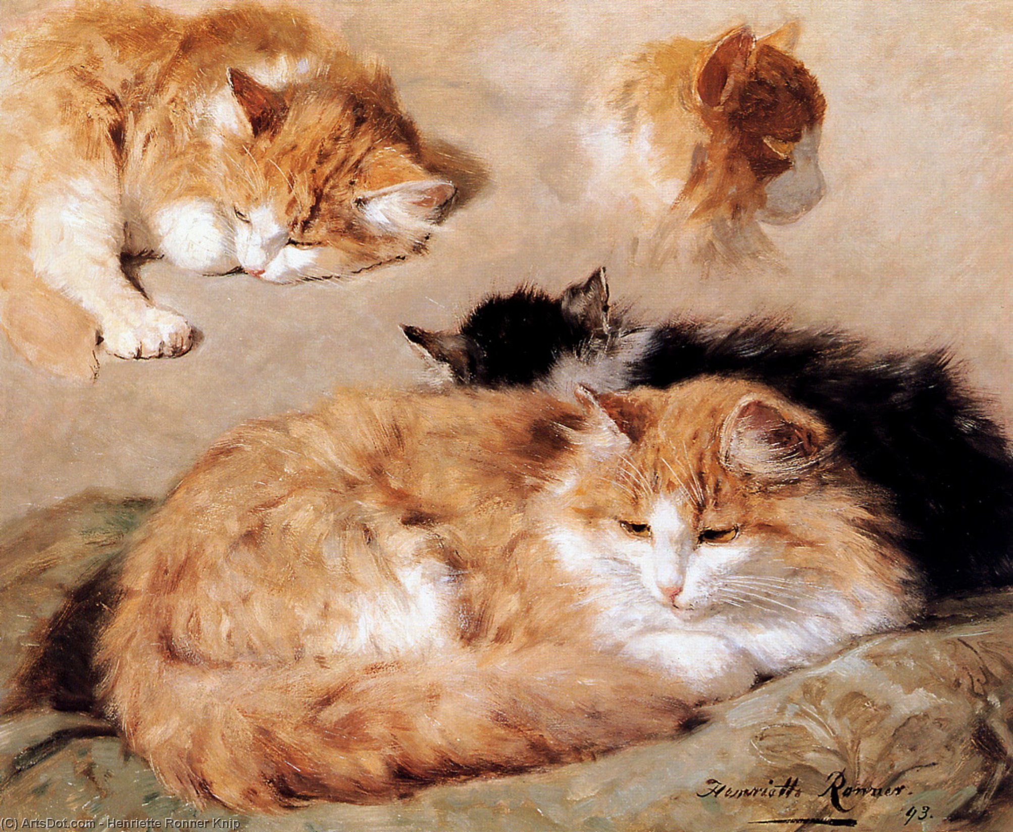 Study Into A Red Tabby Sun — Henriette Ronner Knip