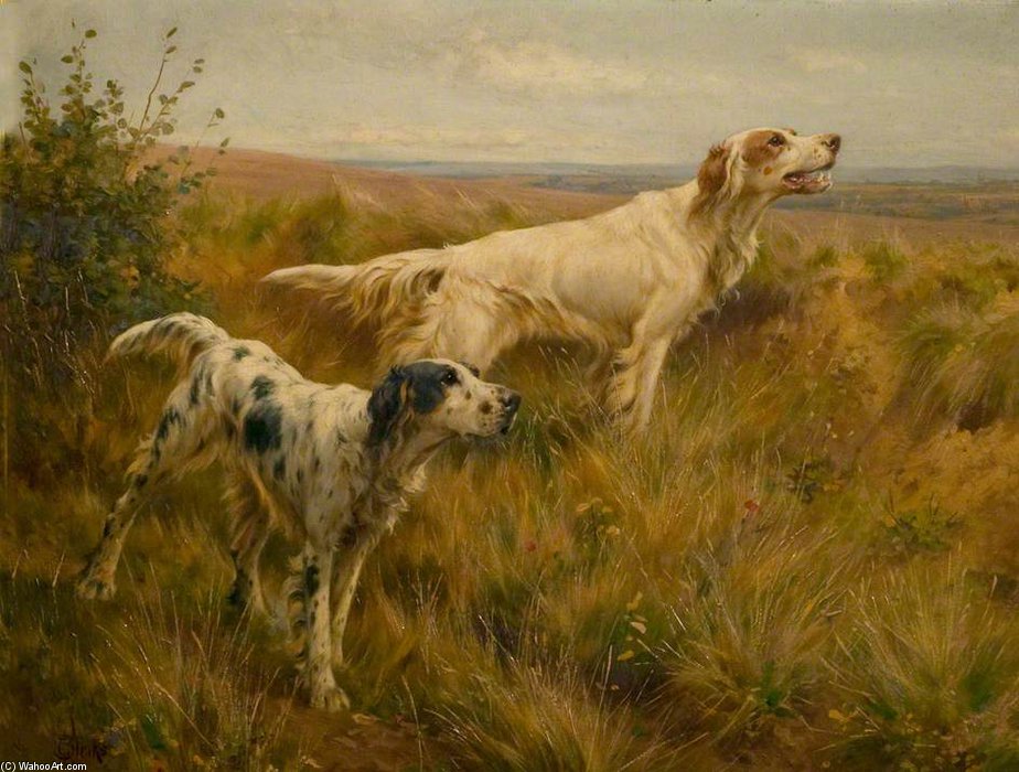 Two Setters In A Landscape — Thomas Blinks