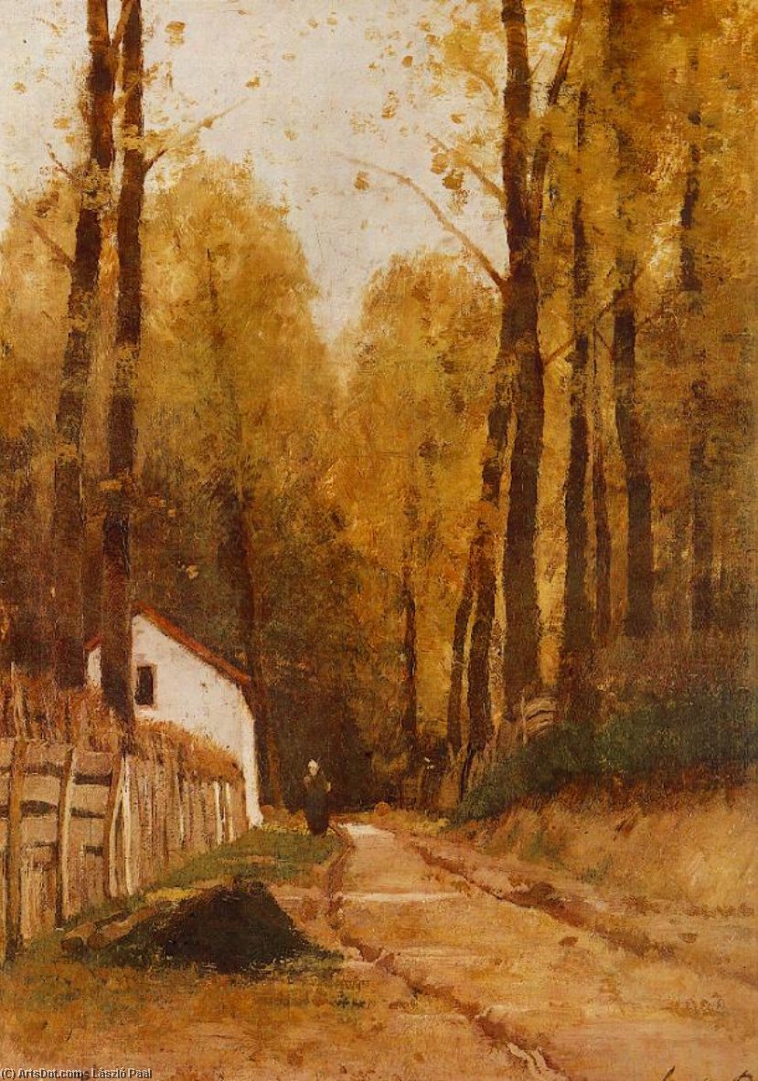 Morning In The Forest — László Paal