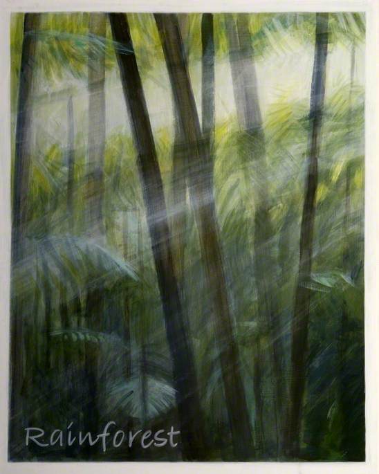 'dreams Of Australia' Series, Rainforest — Antonia Phillips