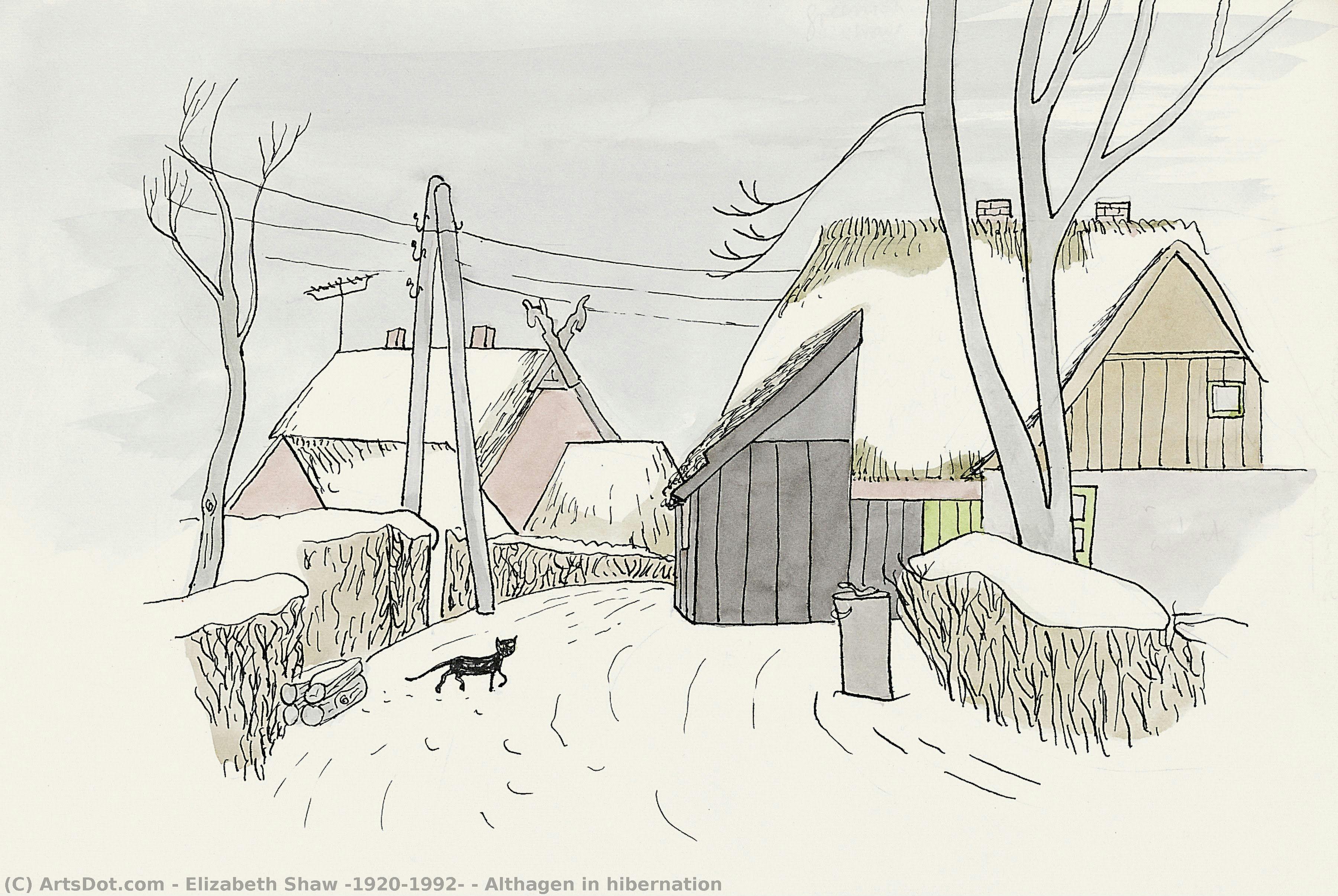 Althagen In Hibernation — Elizabeth Shaw (1920-1992)