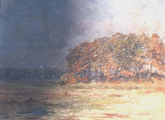 (fall In Maine, Near Coast, With View Of Field And Copse), (painting) — Horace G Hewes