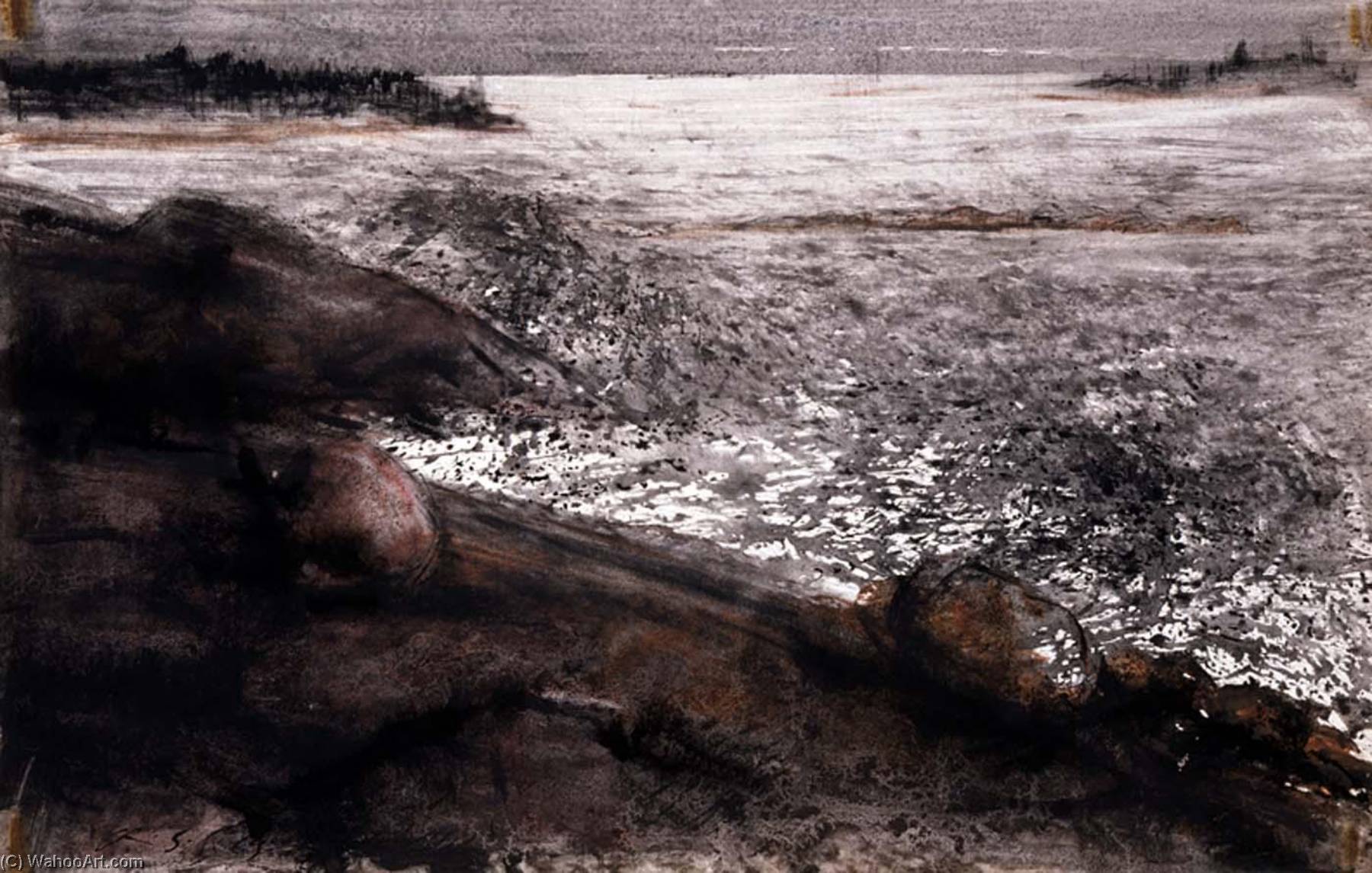 Vinalhaven Seascape — Andre Racz