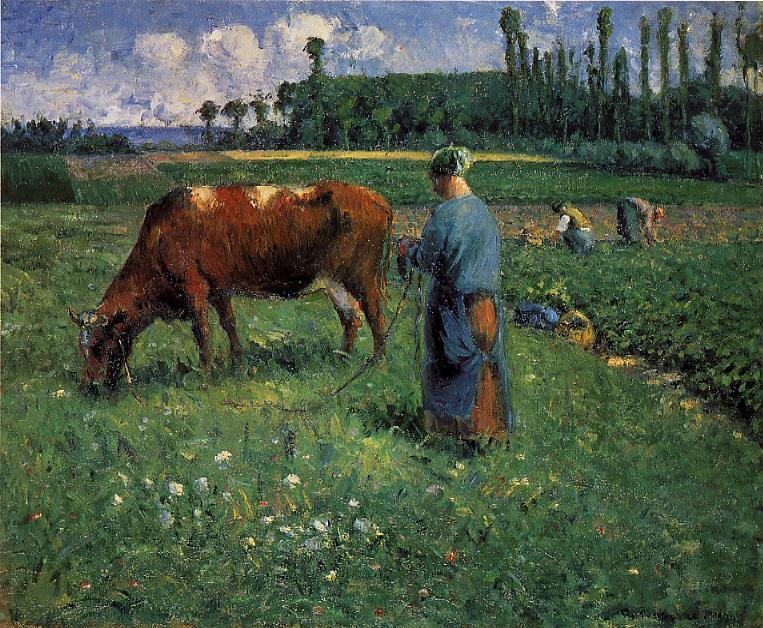 Girl Tending A Cow In Pasture — Camille Pissarro