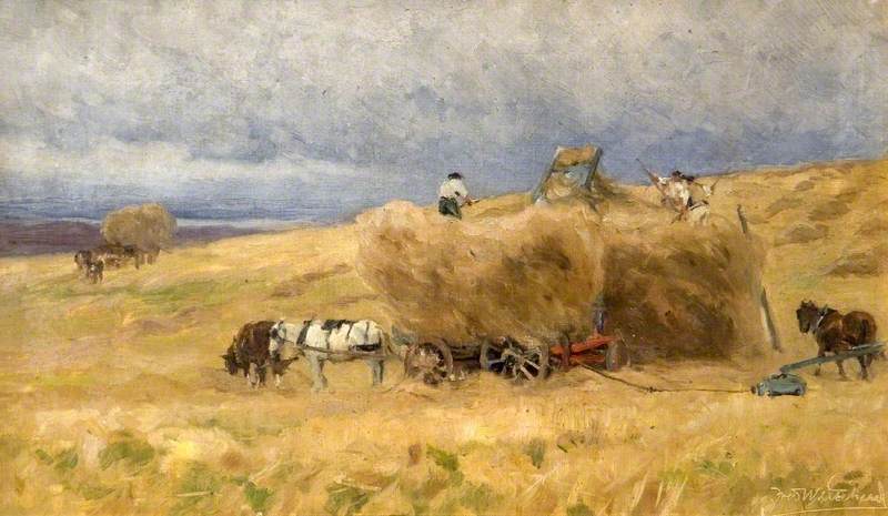 Harvesting — Frederick William Newton Whitehead