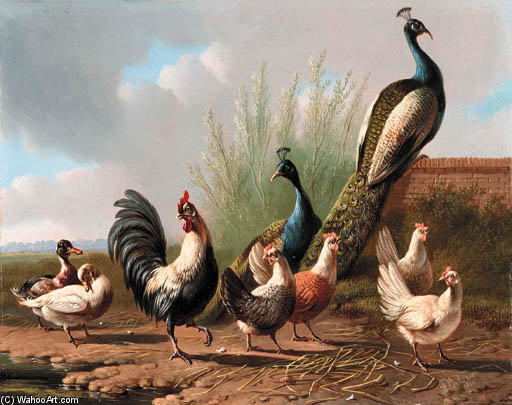 Peacocks, Chickens, Ducks And A Rooster By A Pond — Albertus Verhoesen