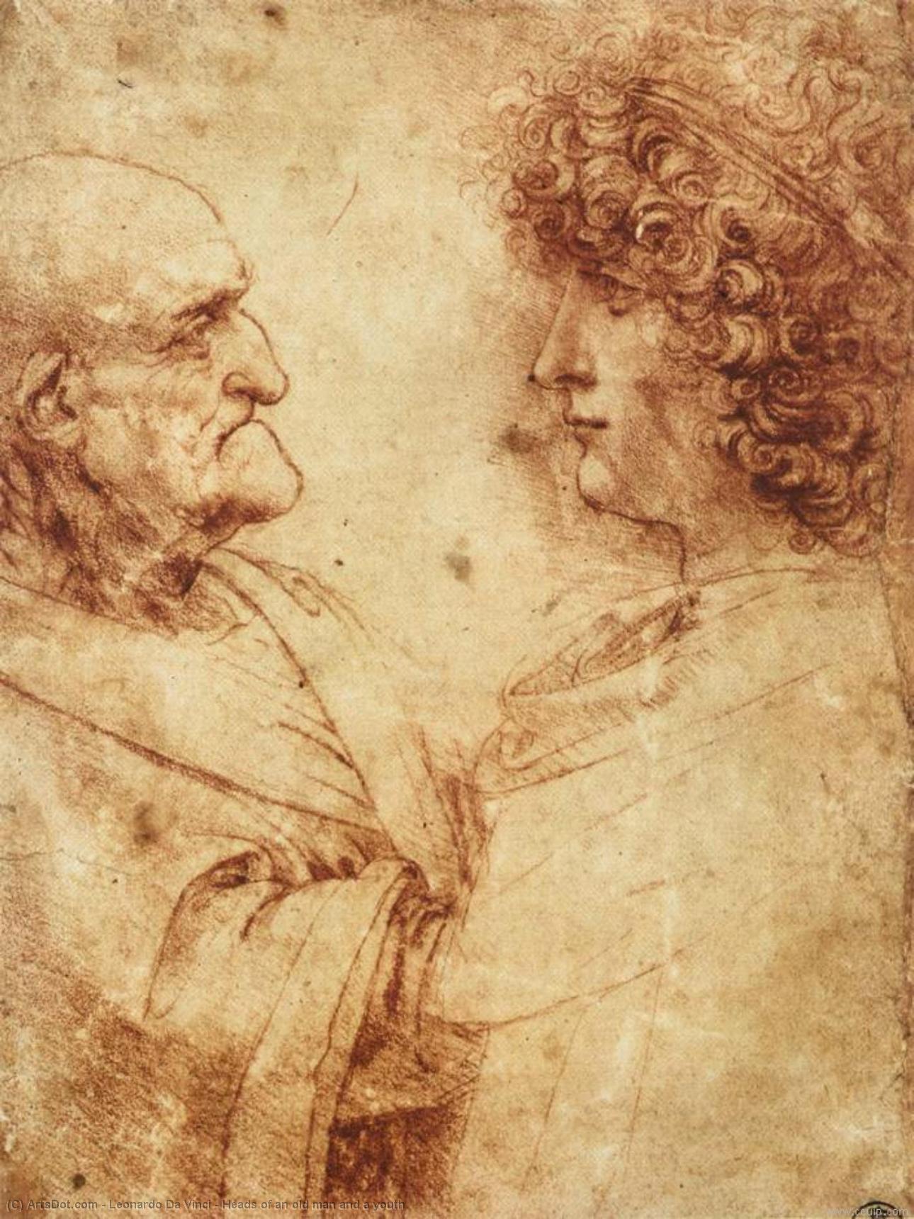 Heads Of An Old Man And A Youth — Leonardo Da Vinci