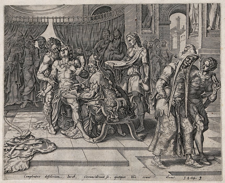 The Circumcision Of The Shechemites — Jan Harmenszoon Muller