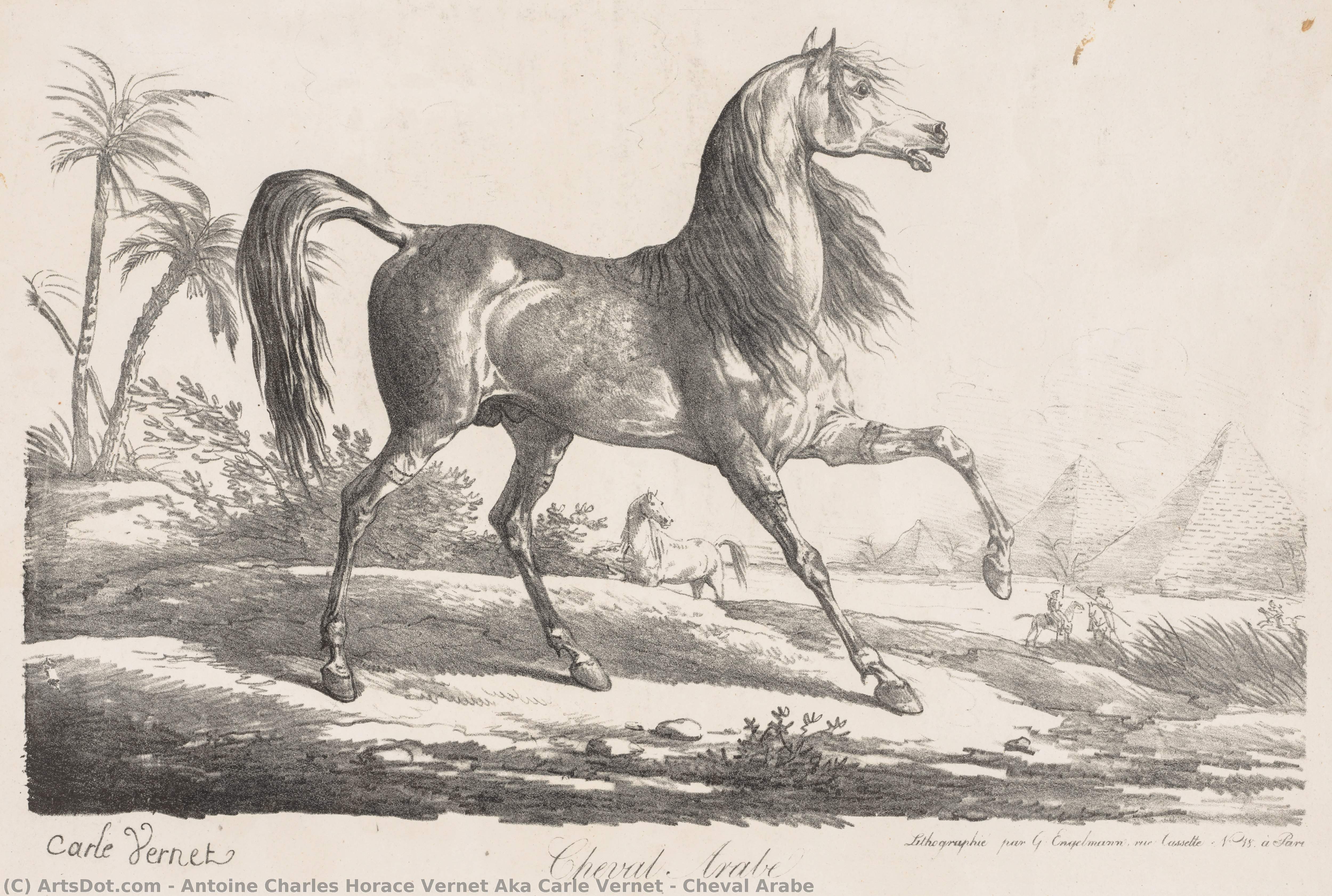 Cheval Arabe — Antoine Charles Horace Vernet Aka Carle Vernet