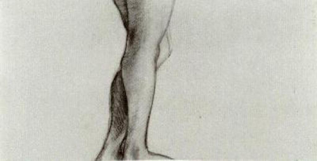 A Woman S Legs — Vincent Willem Van Gogh