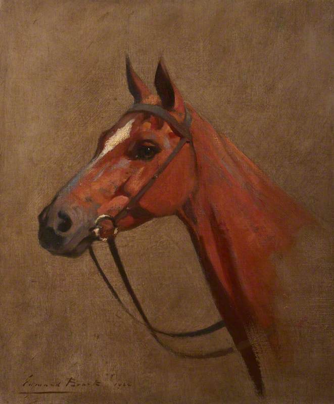 Study Of A Horse's Head — Edmond Brock