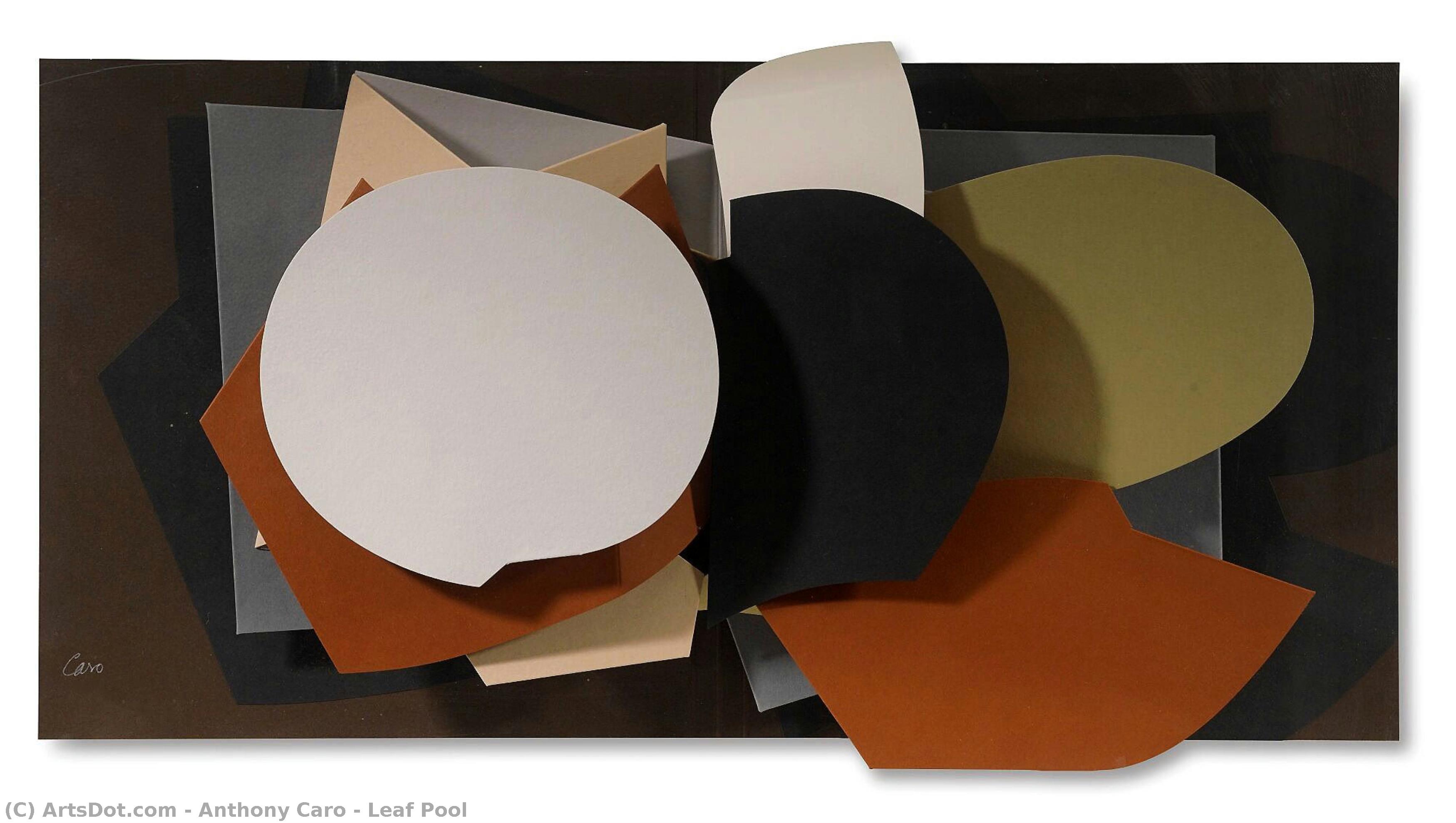 Leaf Pool — Sir Anthony Alfred Caro