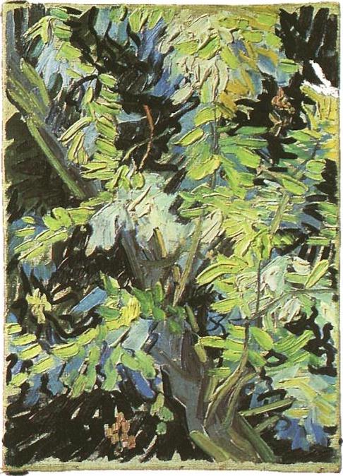 Blossoming Acacia Branches — Vincent Willem Van Gogh
