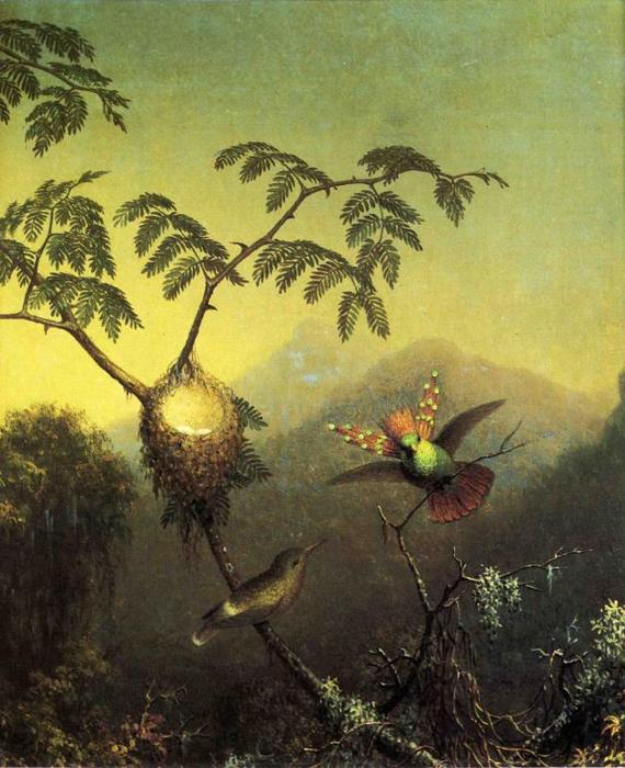 Two Hummingbirds: Tufted Coquettes — Martin Johnson Heade
