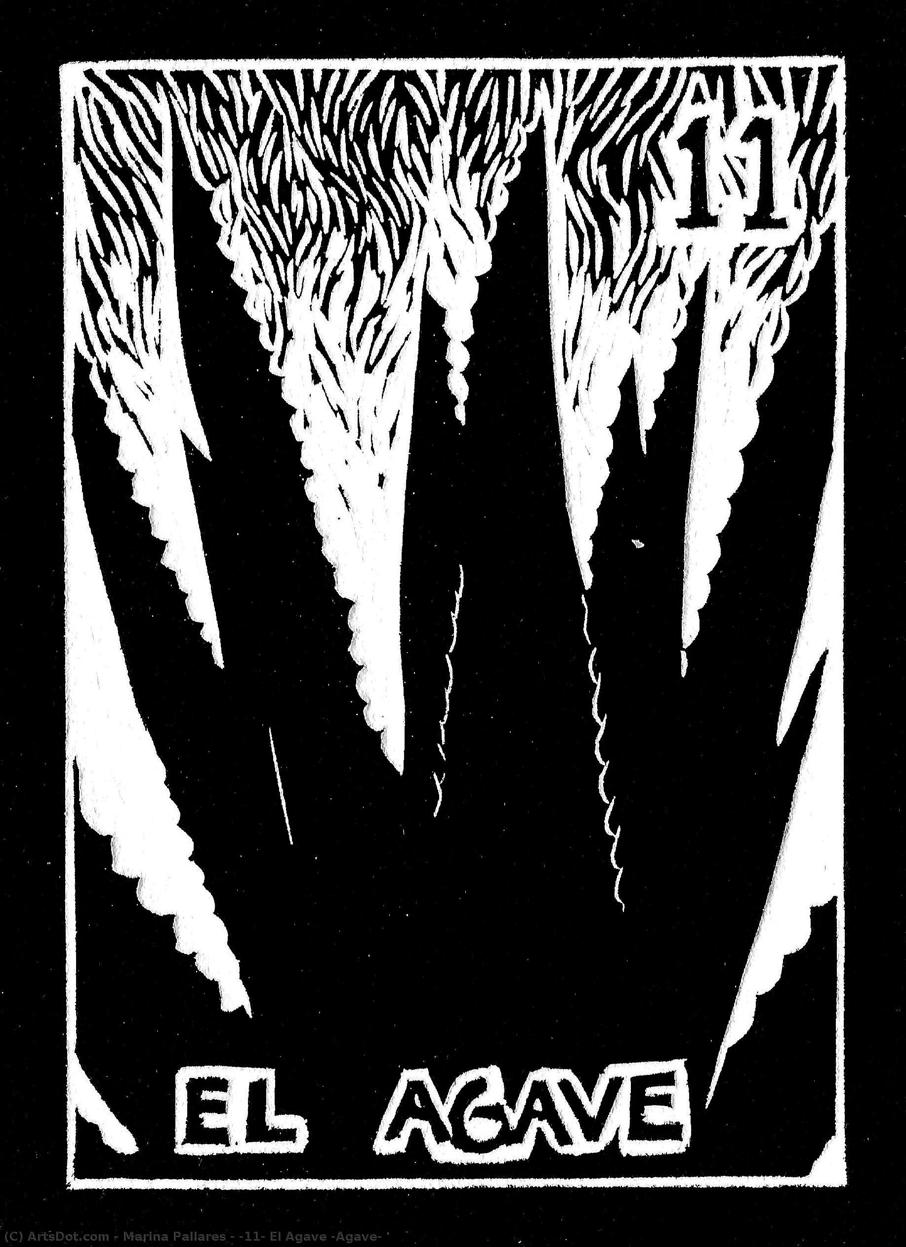 #11: El Agave (agave) — Marina Pallares