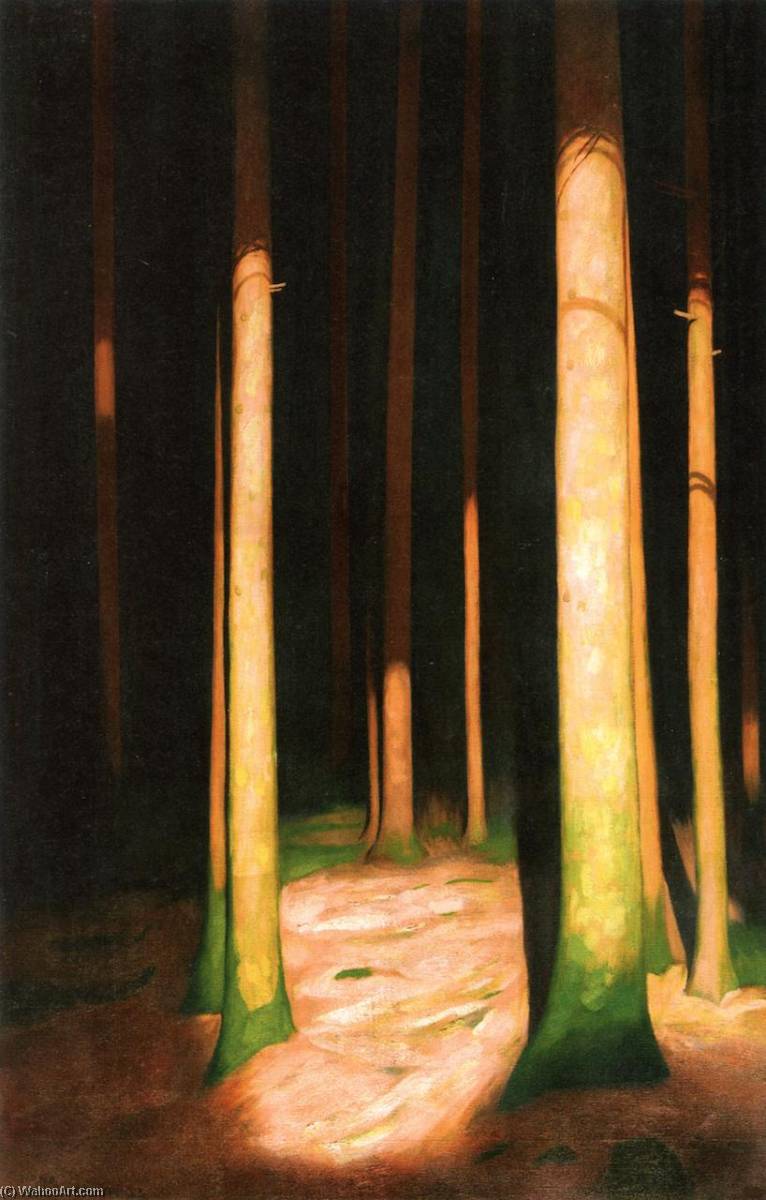In The Forest — Hans Emmenegger