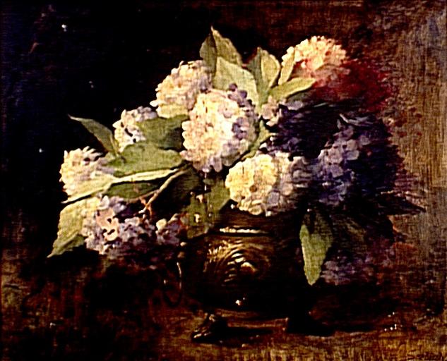 Hortensias — Lothar Von Seebach