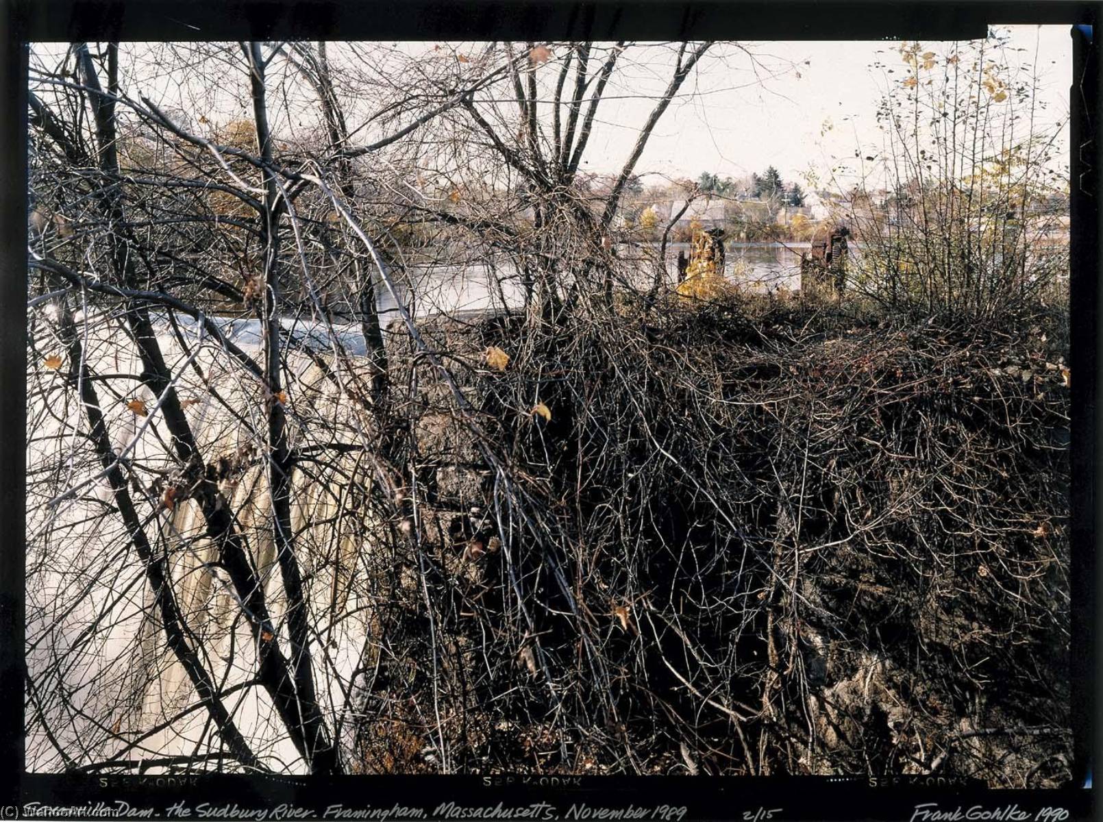 Reservoir 3 On The Sudbury River Framingham, Mass., January, 1990 — Frank Gohlke