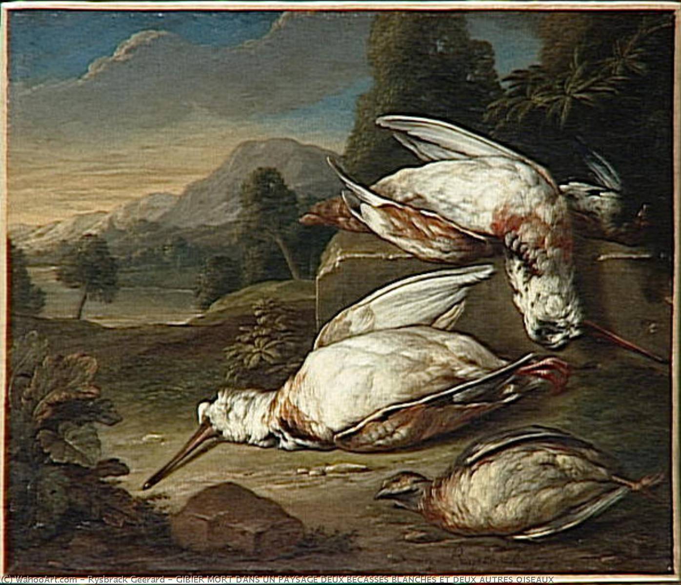 Gibier Mort Dans Un Paysage Deux Becasses Blanches Et Deux Autres Oiseaux — Rysbrack Geerard