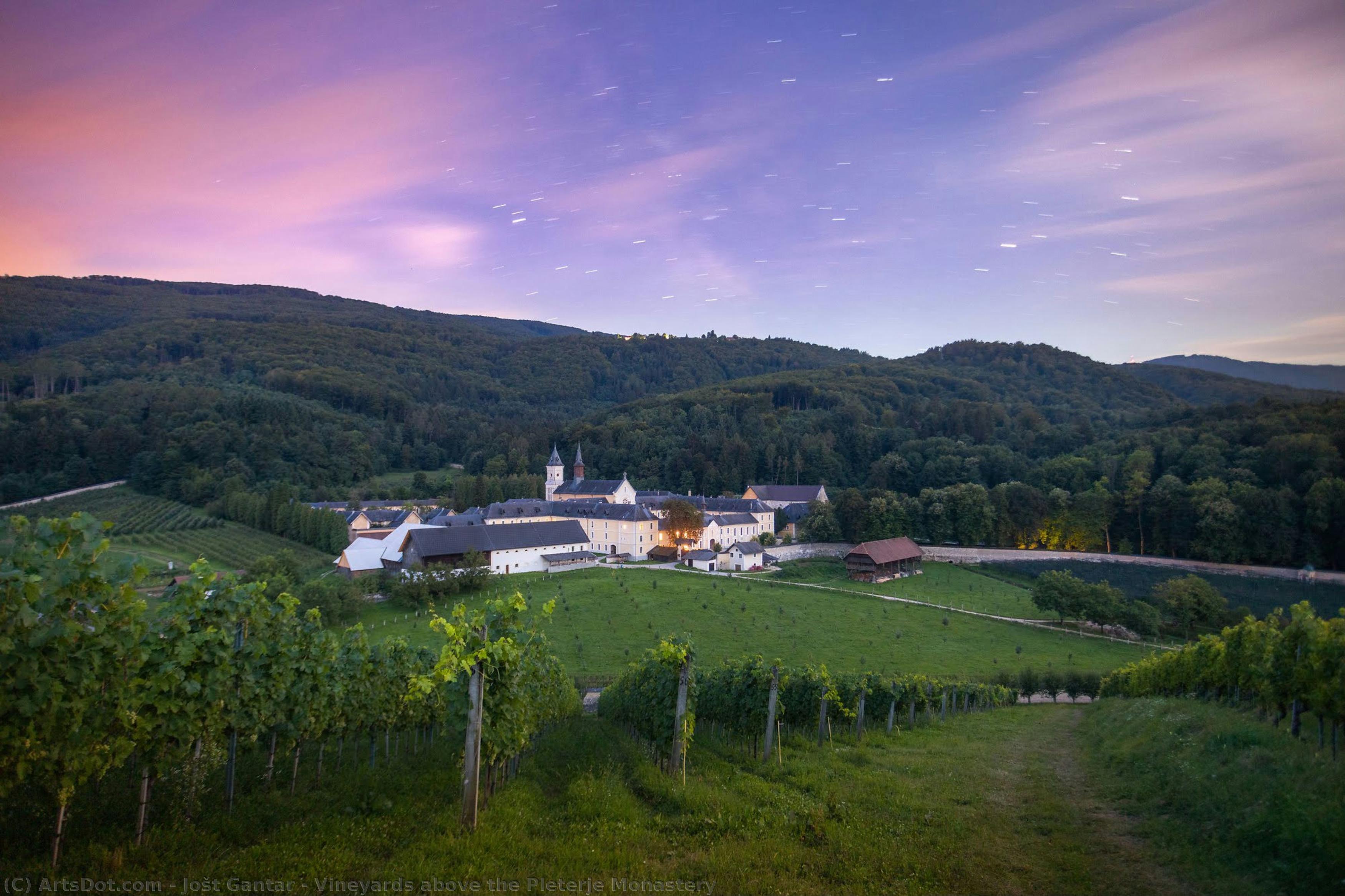 Vineyards Above The Pleterje Monastery — Jošt Gantar