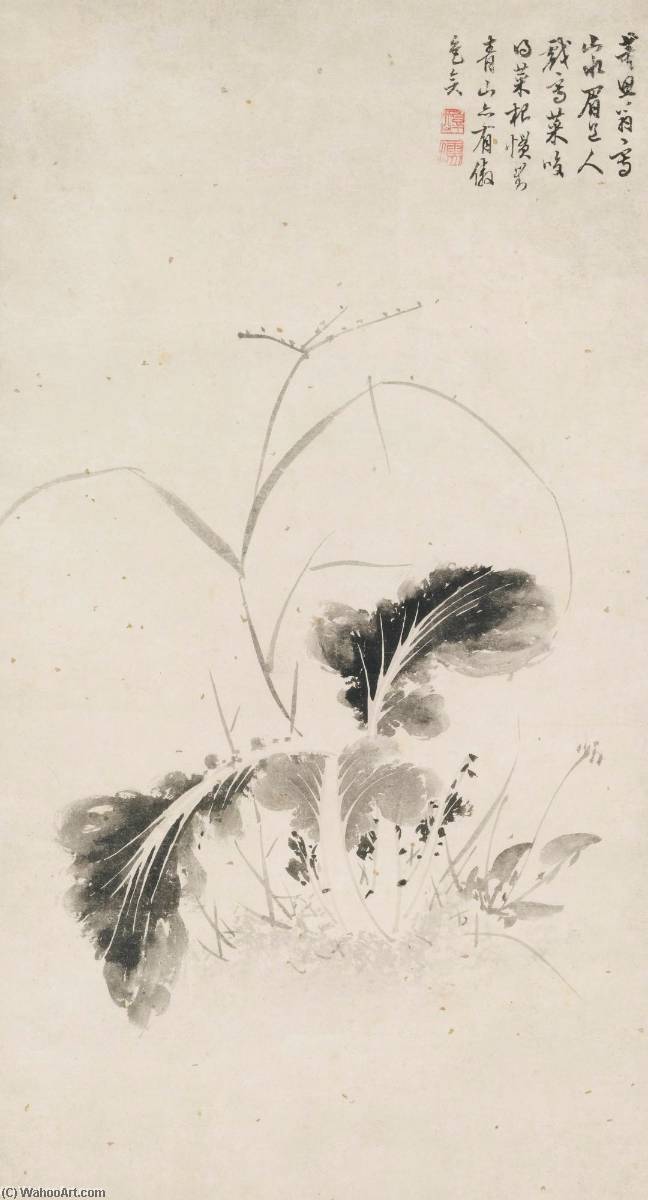 Cabbage — Chen Jiru