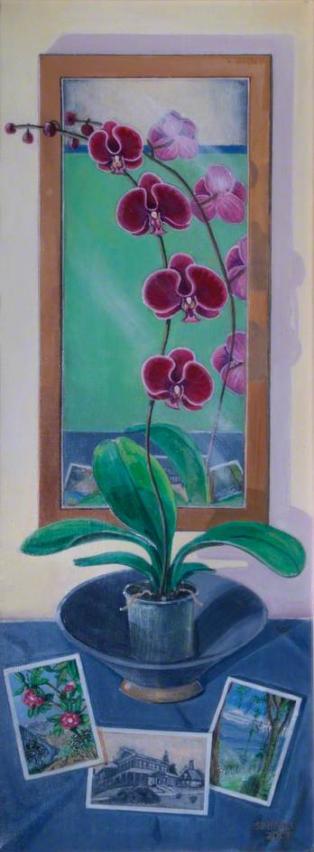 Purple Orchid Reflections — Stephen Nicoll