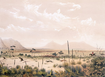 Kangaroo Hunt — George French Angas