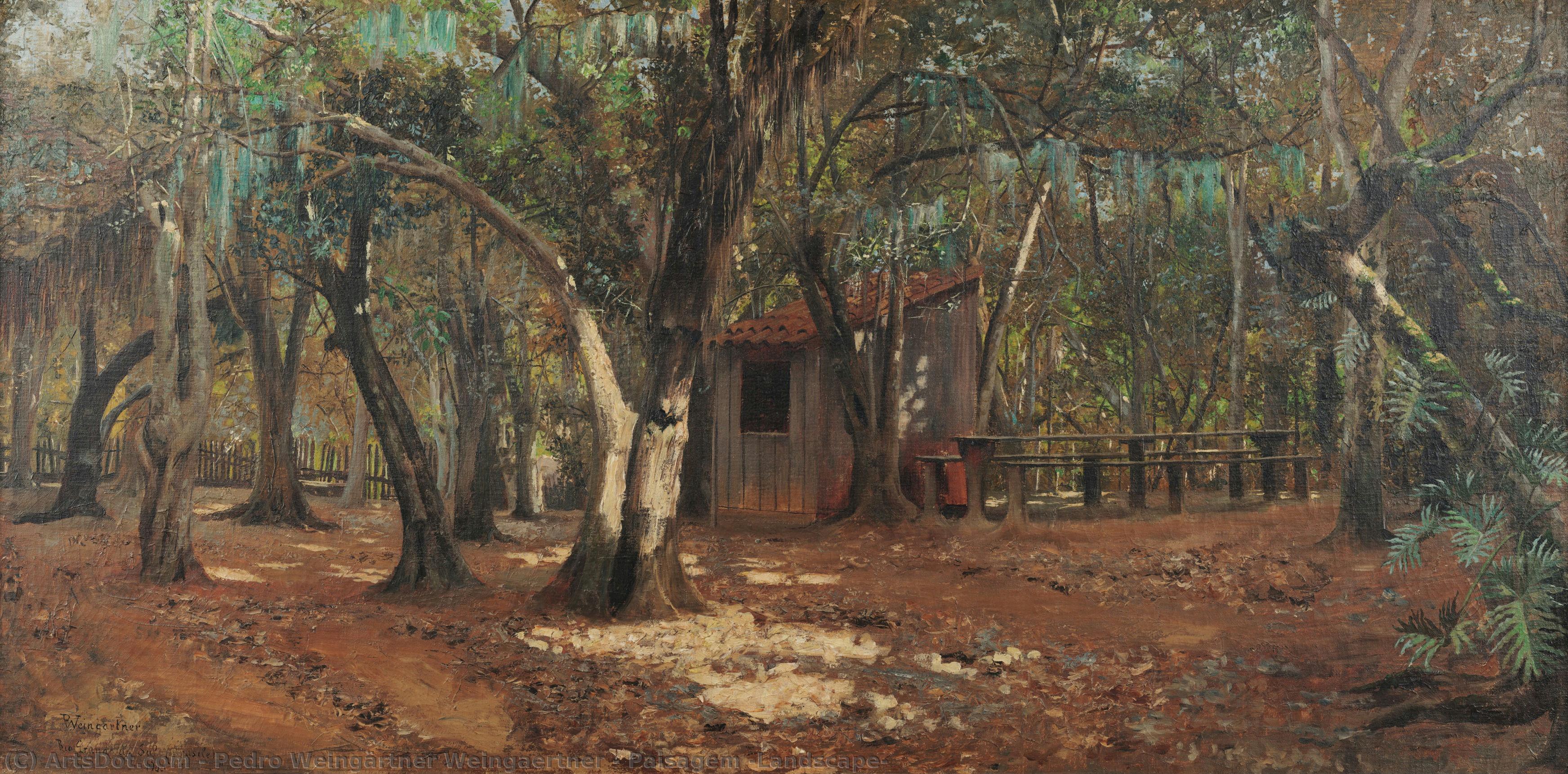 Paisagem [landscape] — Pedro Weingärtner Weingaertner