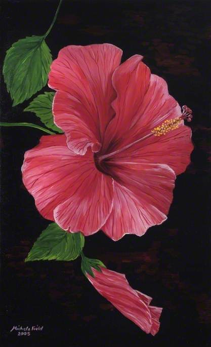 Hibiscus — Michele Elizabeth Field