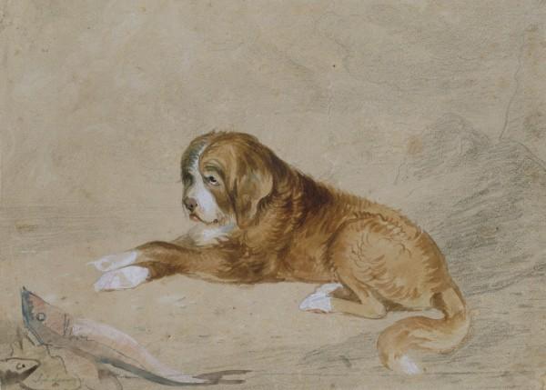Sketch For 'an Old Newfoundland Dog Guarding The Catch' — John Frederick Lewis