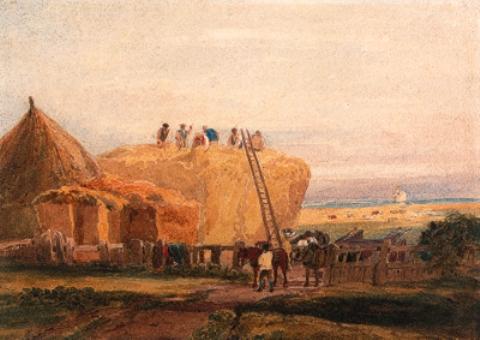 The Haymakers — Dejvid Koks