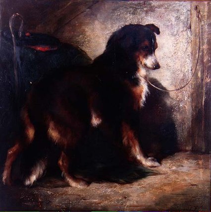 The Shepherd's Collie — Edwin Douglas
