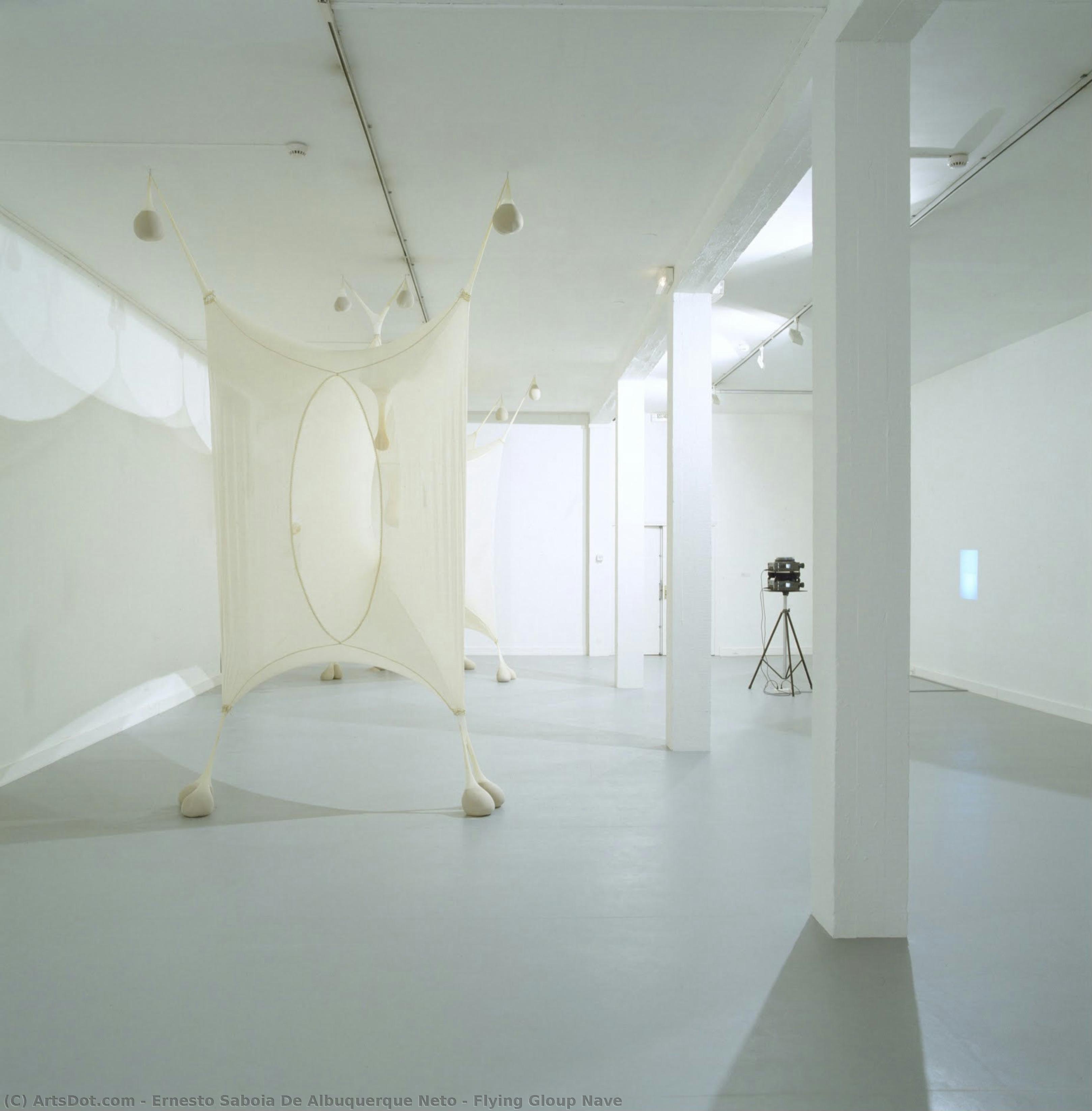 Flying Gloup Nave — Ernesto Saboia De Albuquerque Neto