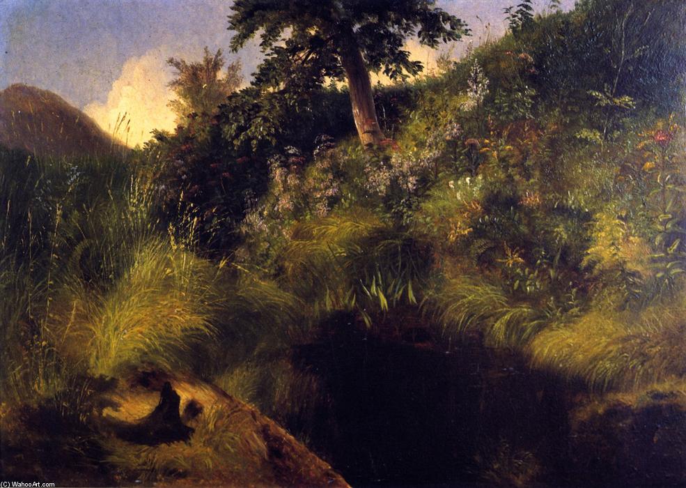 The Old Bog Hole — Луи Реми Миньо