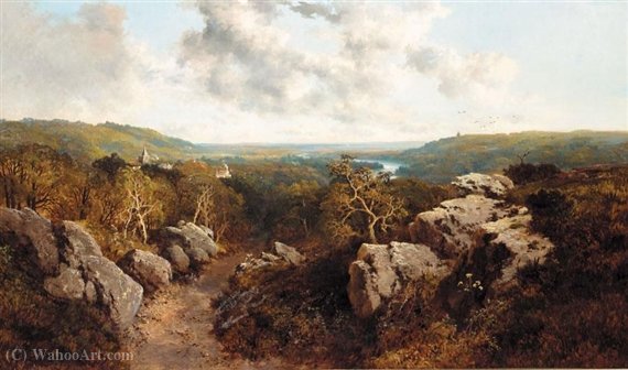 A Rocky Pathway — Edward H. Niemann