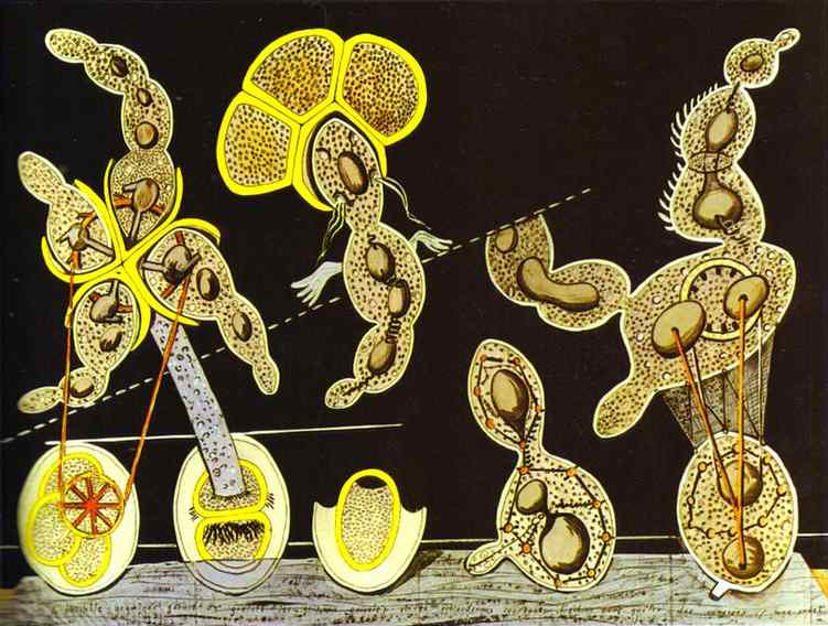 The Gramineous Bicycle Garnished With Bells The Dappled Fire Damps And The Echinoderms Bending — Max Ernst