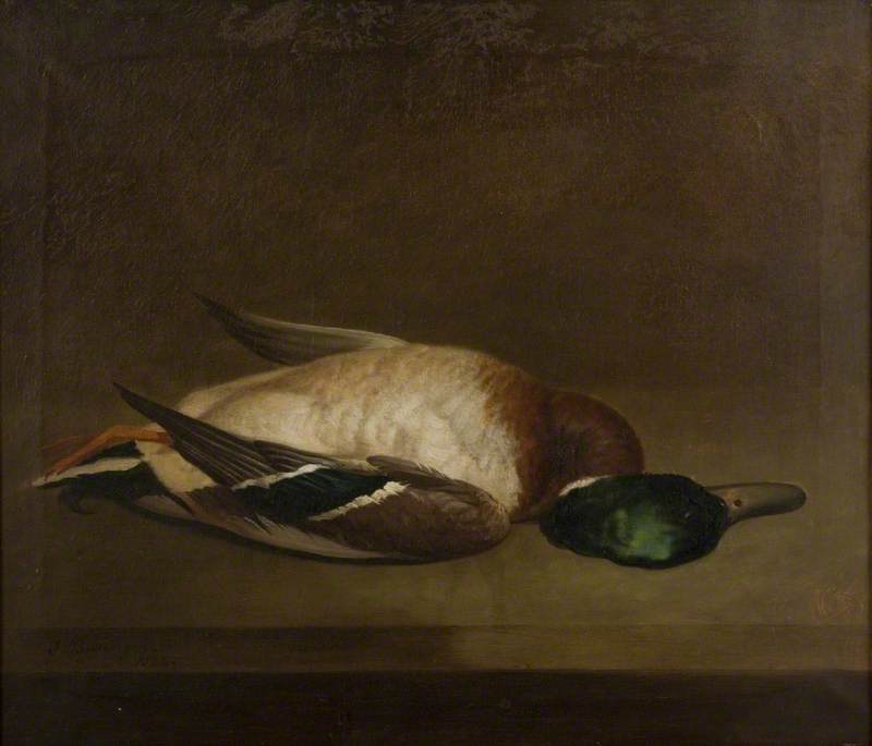 Still Life With A Mallard — James Barenger