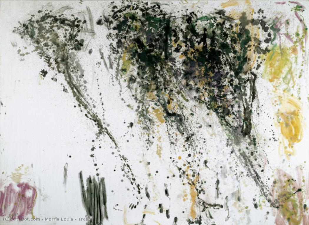Trellis — Morris Louis