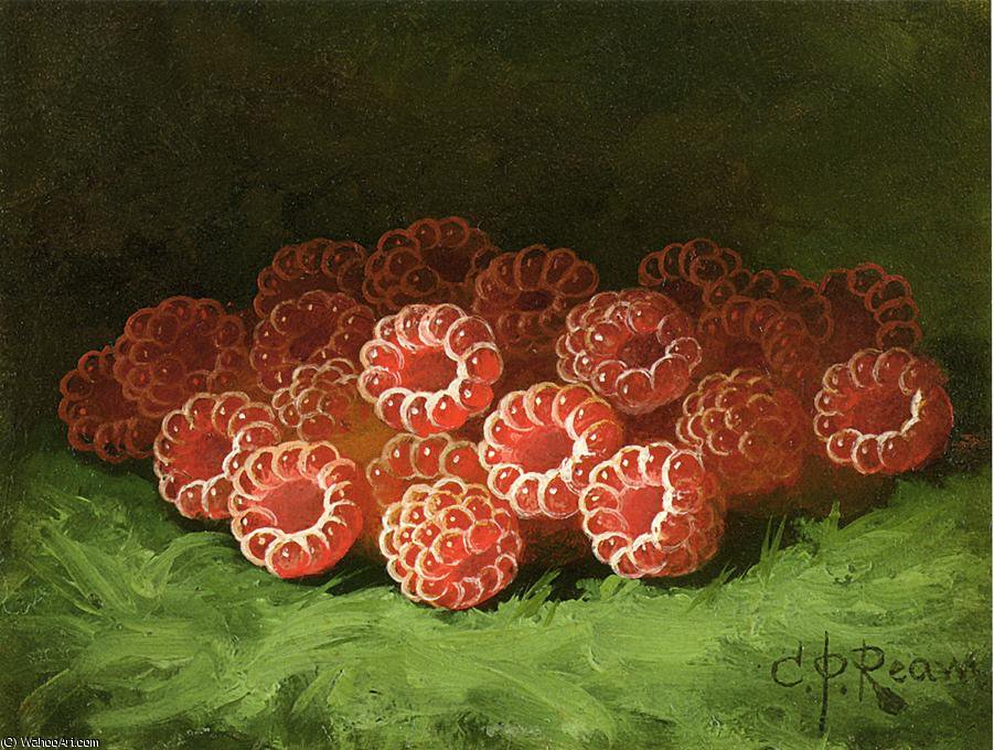 Still Life With Raspberies — Carducius Plantagenet Ream