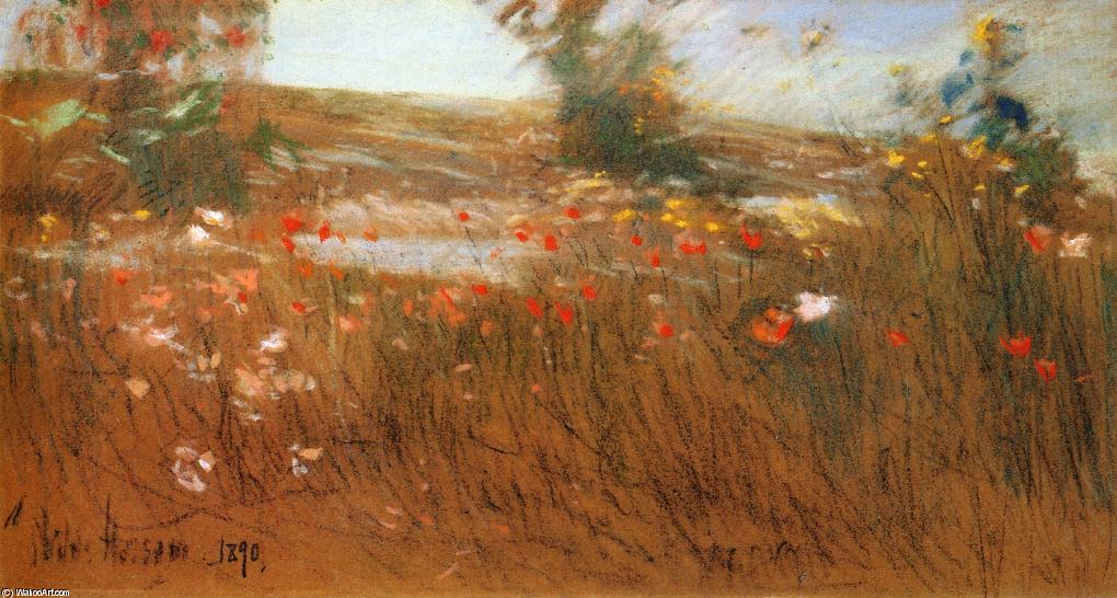 Poppies, Isles Of Shoals 1 — Frederick Childe Hassam
