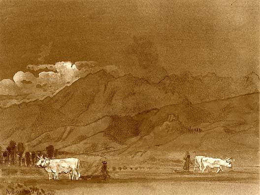 Montignoso Near Viareggio, (painting) — Arthur B. Davies